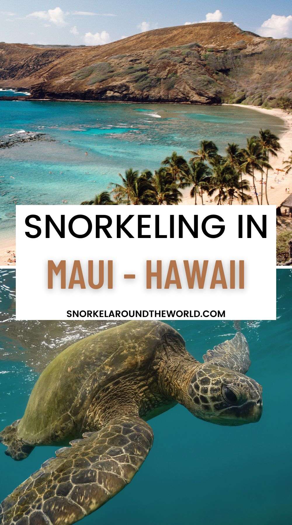 Maui Hawaii snorkeling tips pin image