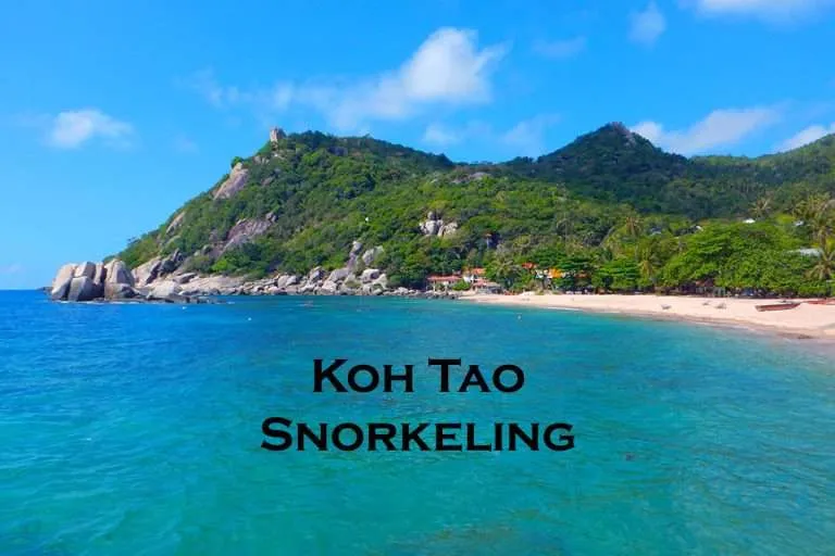 Koh Tao snorkeling