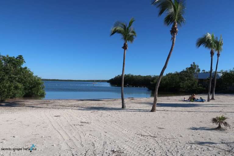 Snorkeling John Pennekamp Key Largo Snorkel Around The World
