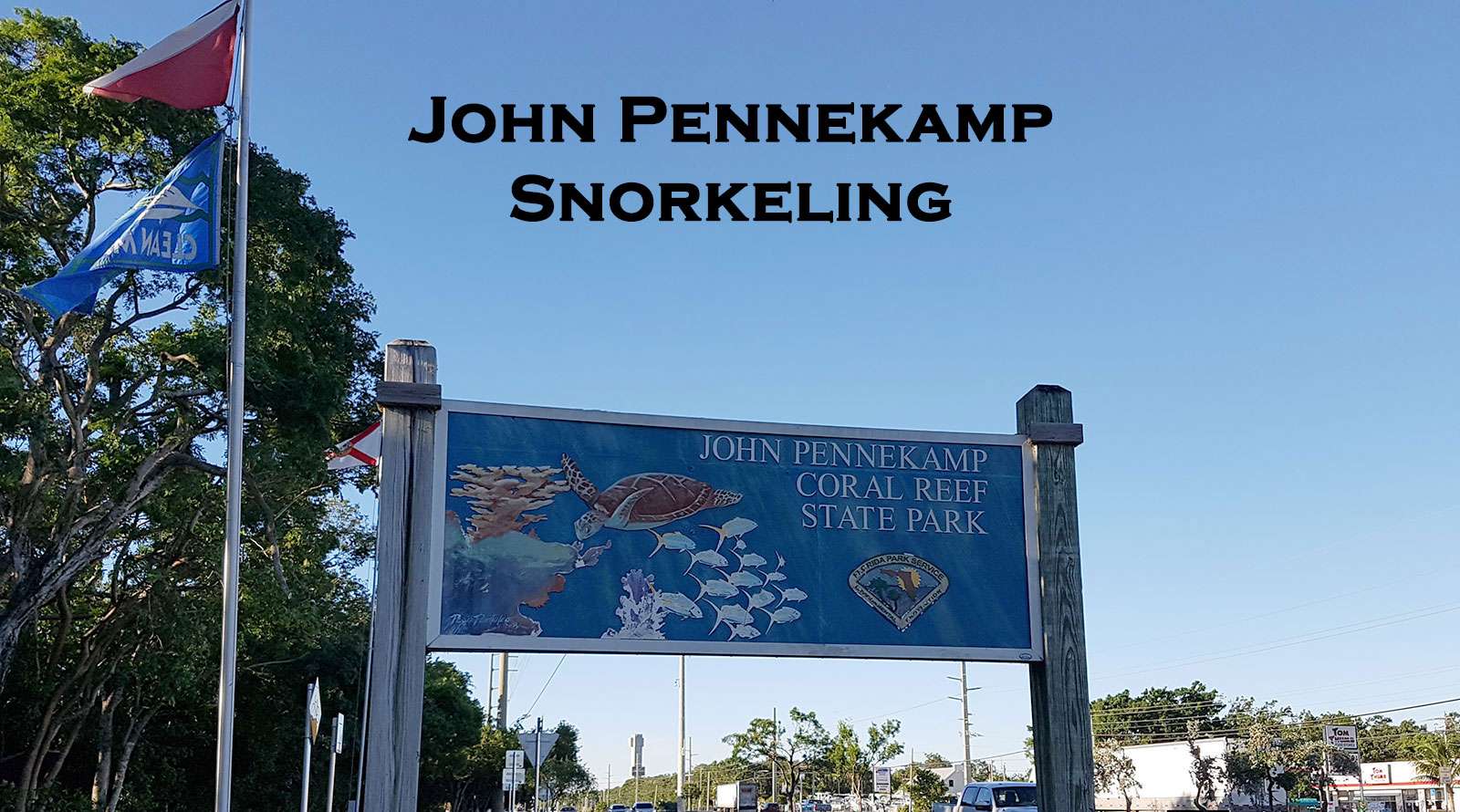 Guide For Snorkeling In John Pennekamp Coral Reef State Park