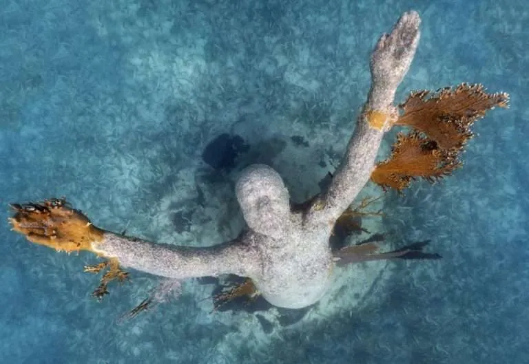 Reclamation - Punta-Nizuc index