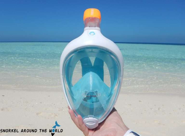 Is Tribord Easybreath Full Face Mask Right for You? Pros and Cons