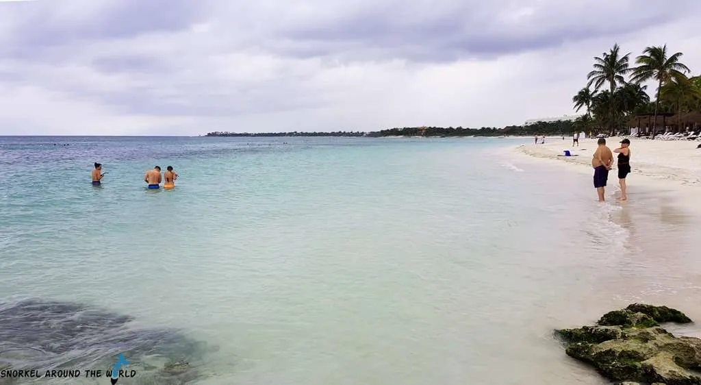 snorkelers at Akumal Beach