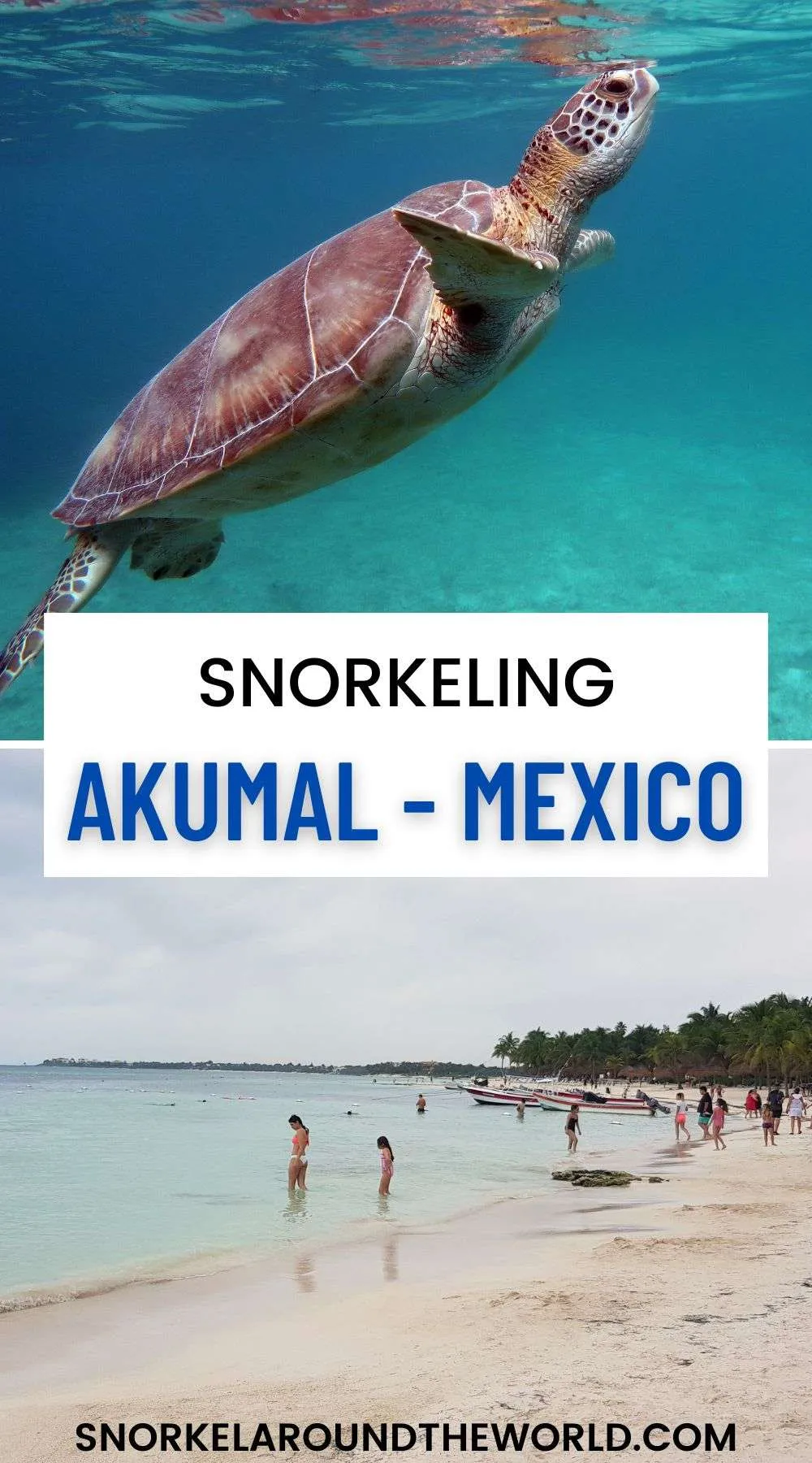 snorkeling in Akumal - Mexico - pin image