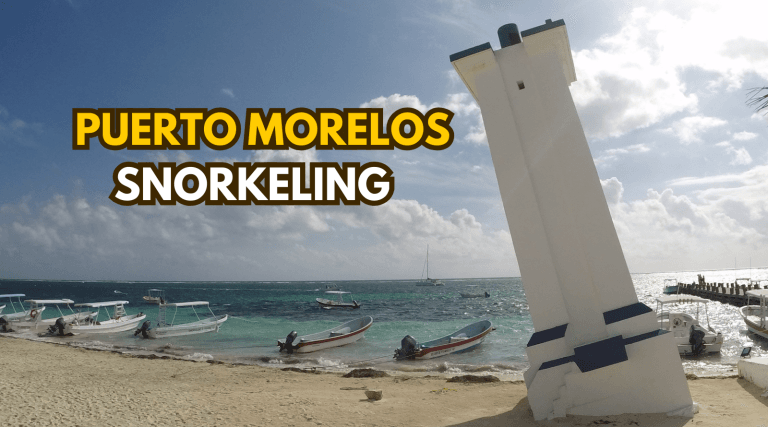 Puerto Morelos Snorkeling Beach