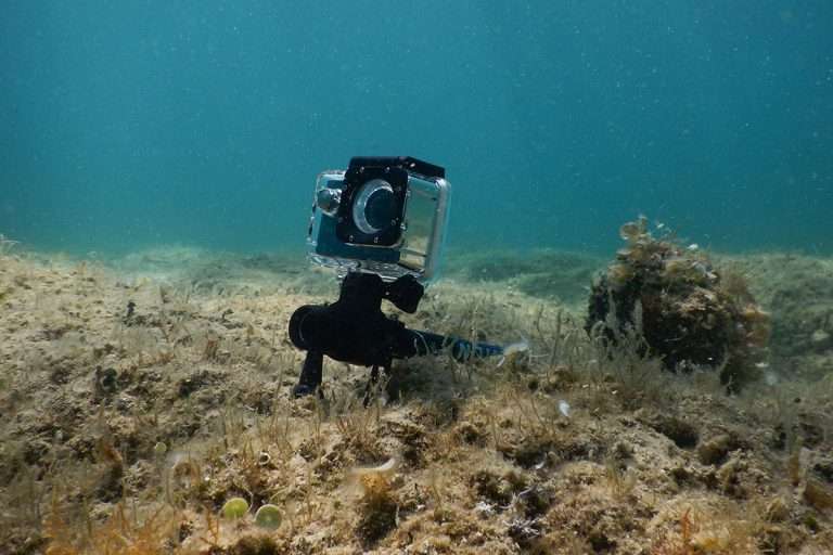 Sjcam at the bottom of the sea