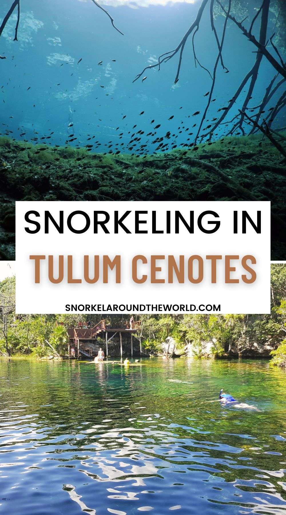 Tulum snorkeling cenotes pin image