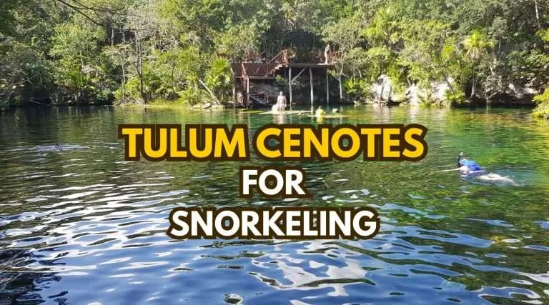 snorkeling cenotes in Tulum