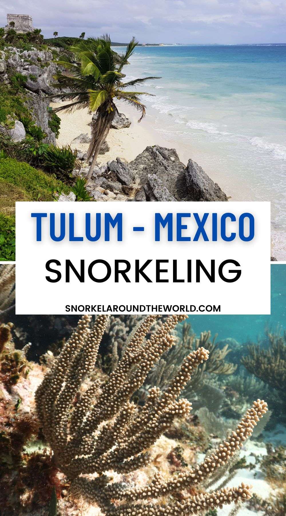Tulum - Mexico snorkeling