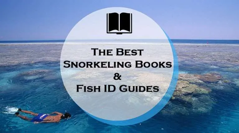 Snorkeling books and reef fish identification guides