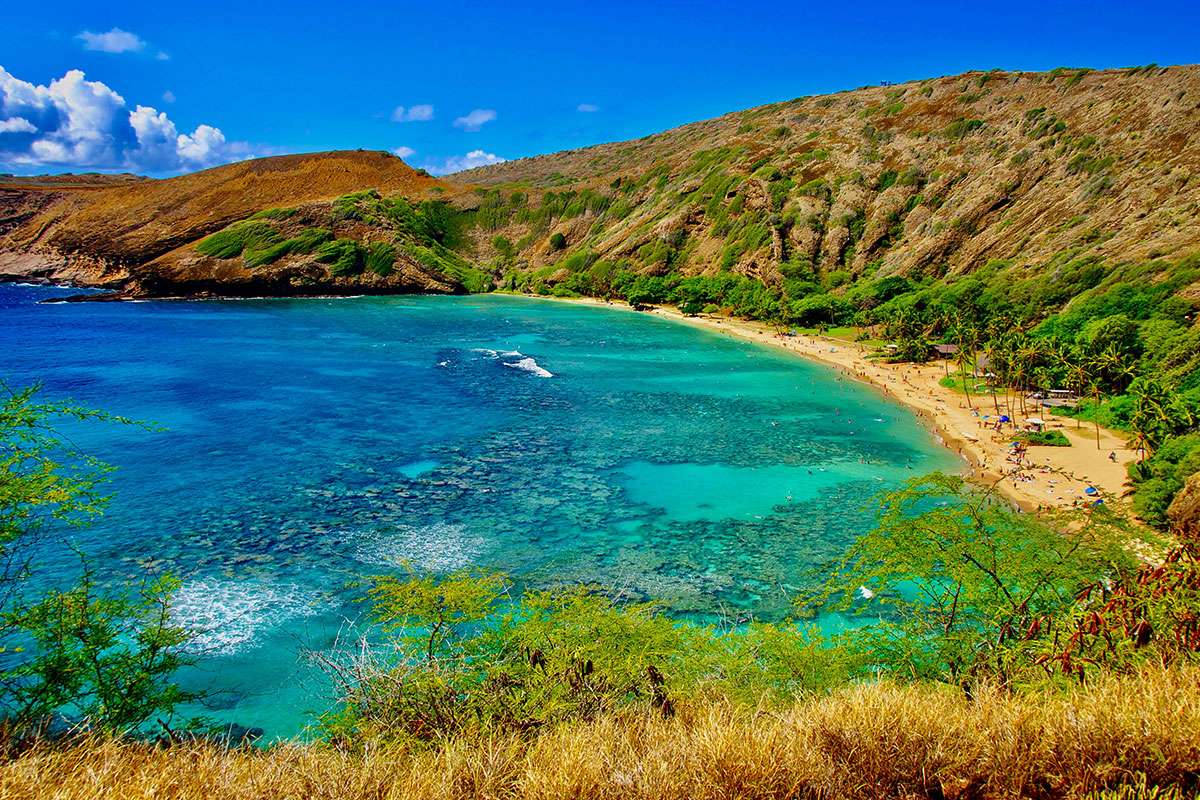people swimming and snorkeling at Hanauma Bay