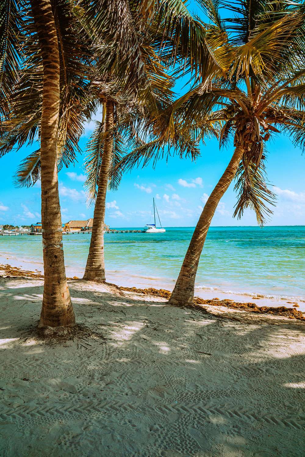 beach view Ambergris Caye - Belize