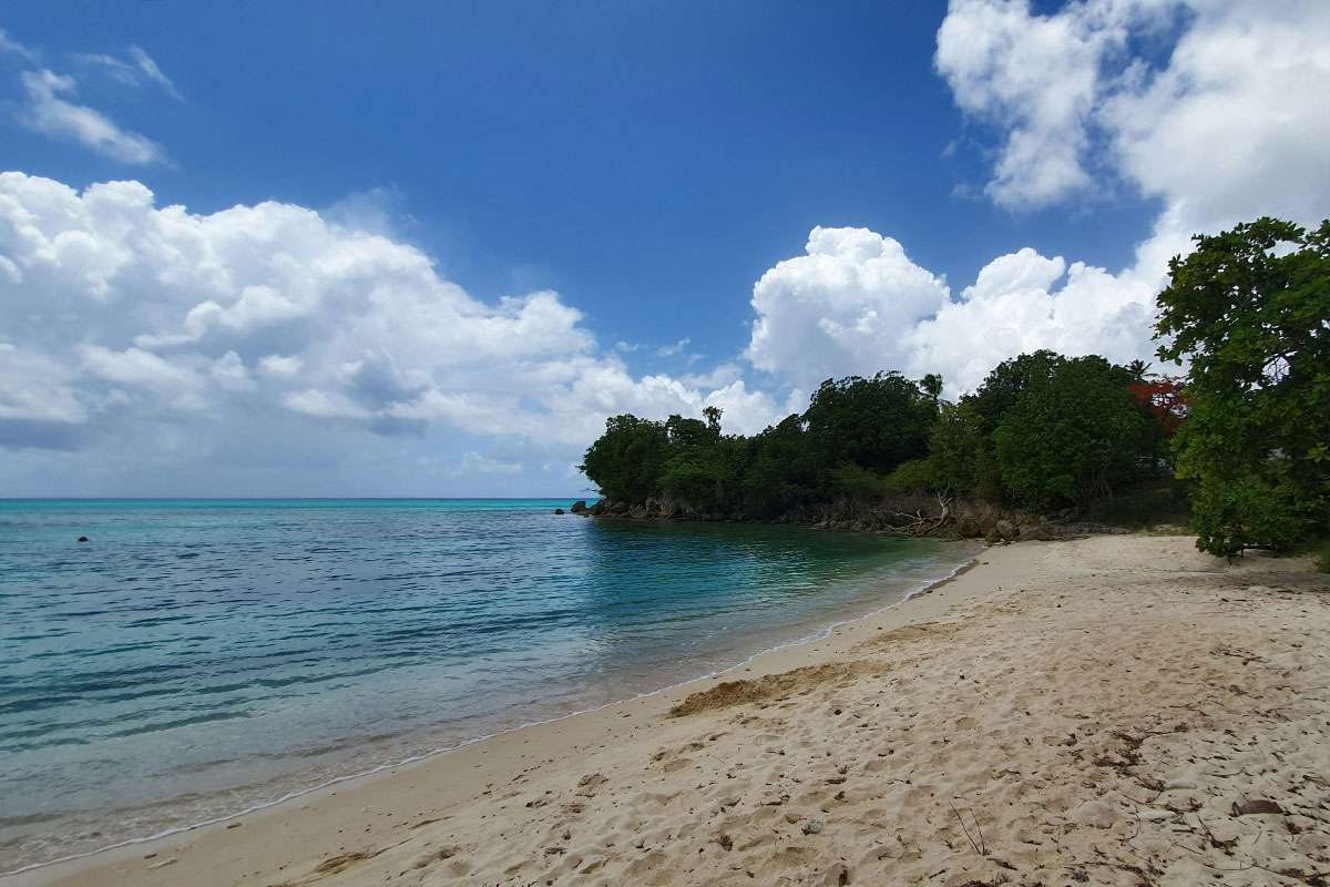 sandy beach in Saint Louis - Guadeloupe