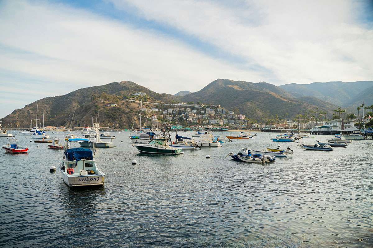 boats in Avalon - Catalina Island - California