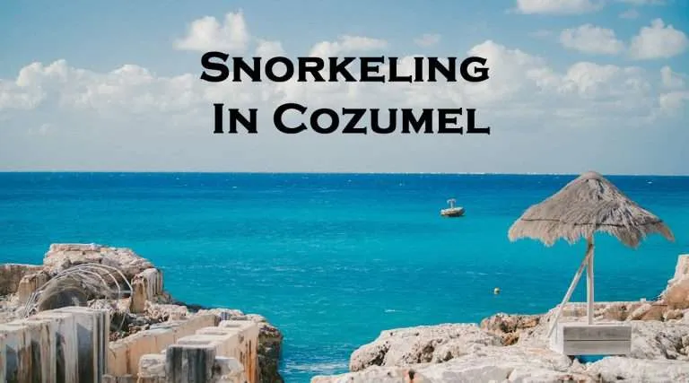 Snorkeling in Cozumel