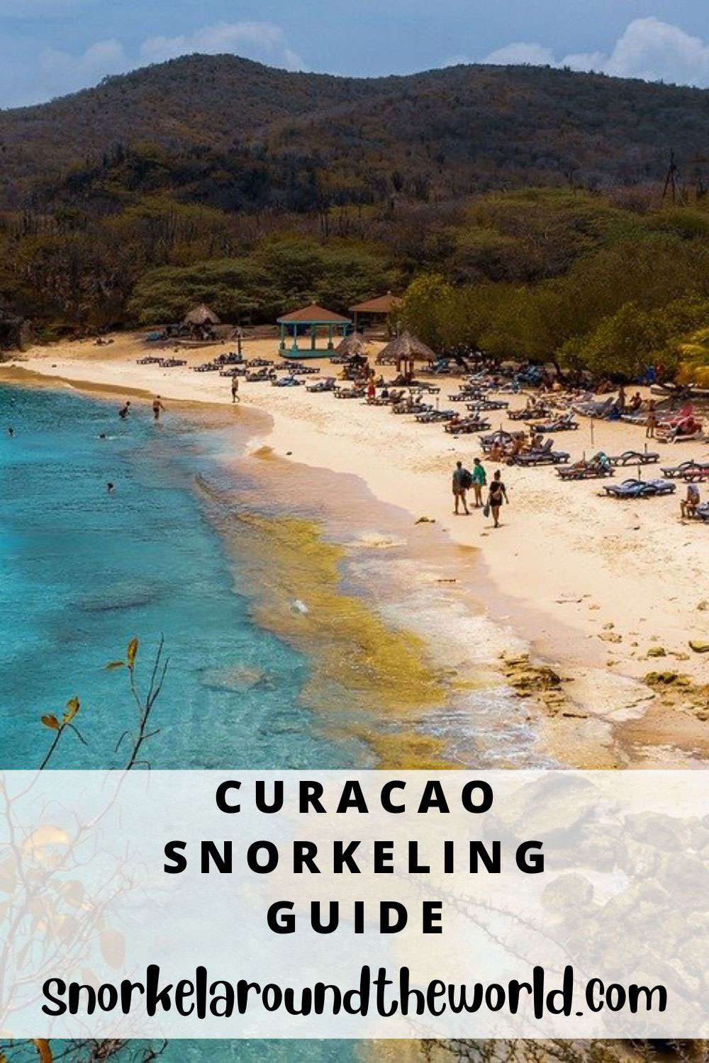 Curacao snorkeling guide - pin