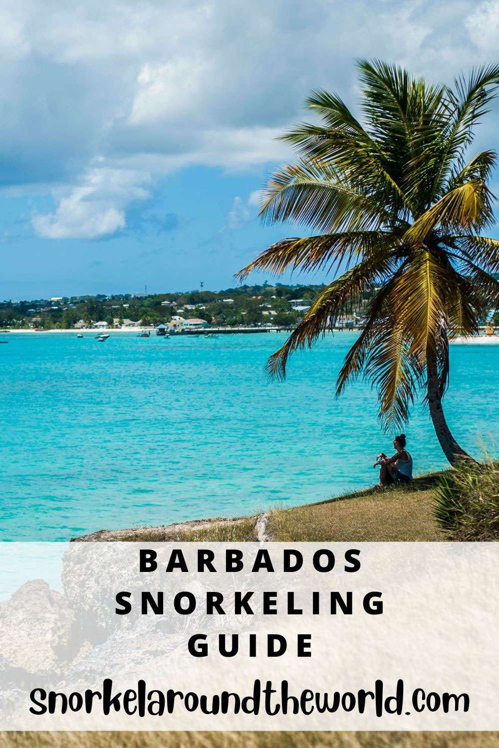 Barbados snorkeling spots guide - Pin