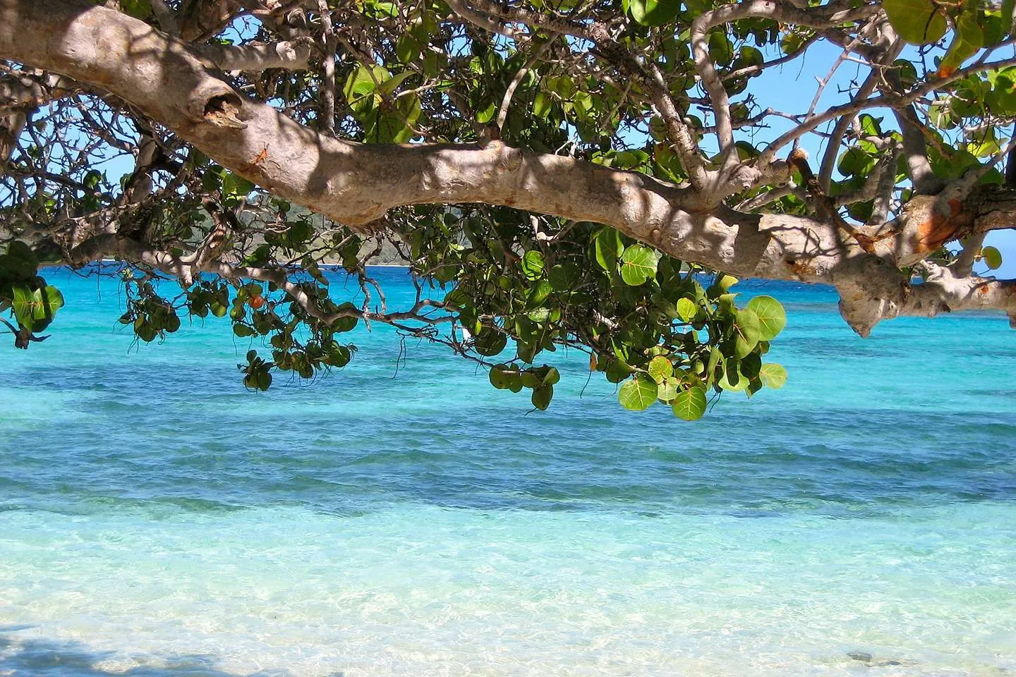 The Caribbean Sea