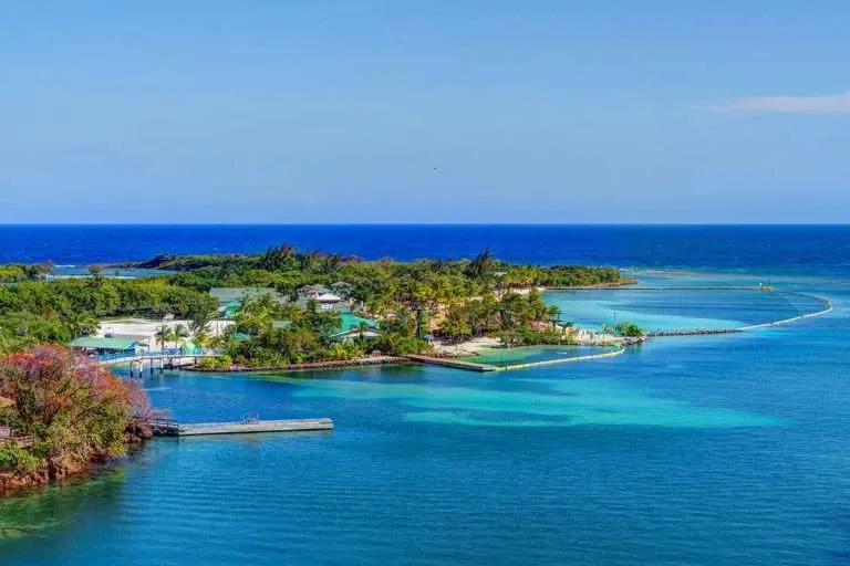 Roatan snorkeling