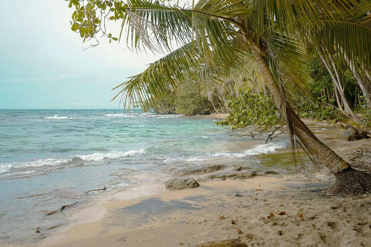 Coast of Manzanillo - Costa Rica
