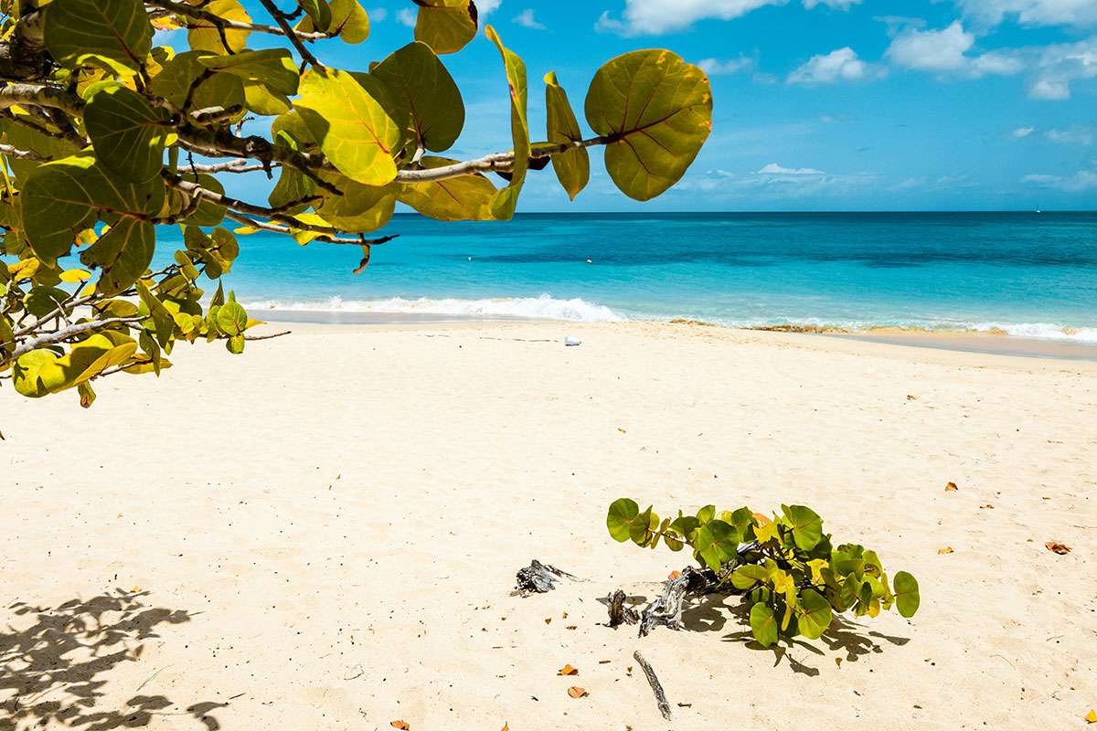 Grand Anse Beach