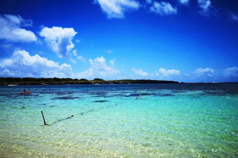 Guadeloupe snorkeling spots Top 14 beaches to visit Snorkel Around The World
