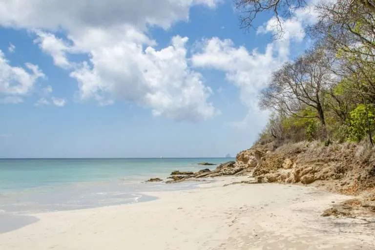 Martinique snorkeling beach