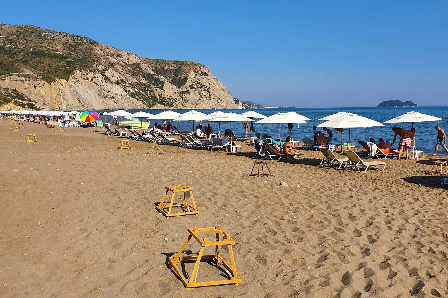 turtle nests in Greece