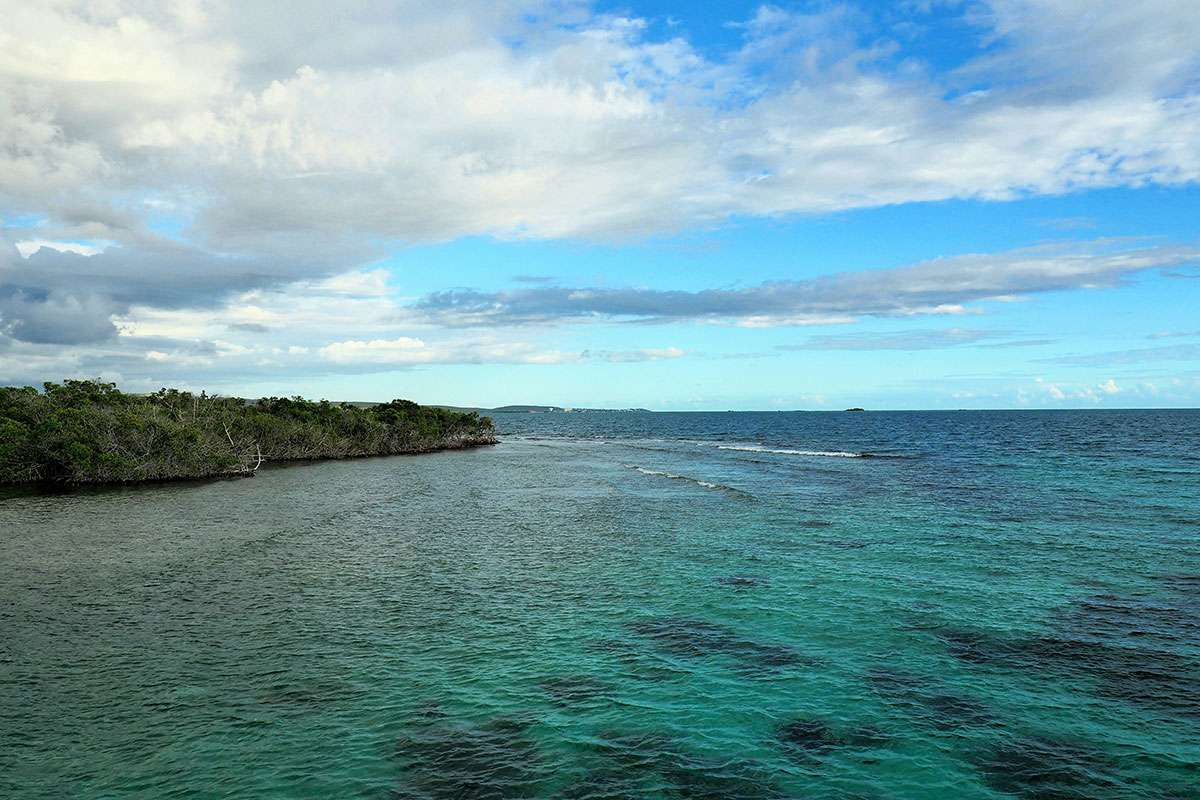 La Parguera Mangroves