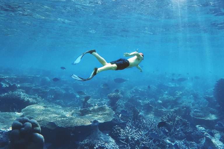 Complete snorkel gear guide 2024