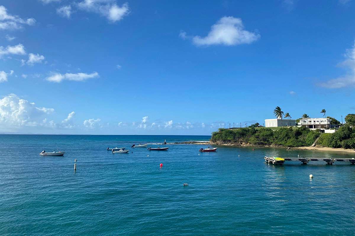 Best Snorkeling Spots in St Lucia - Where to Go and What to See