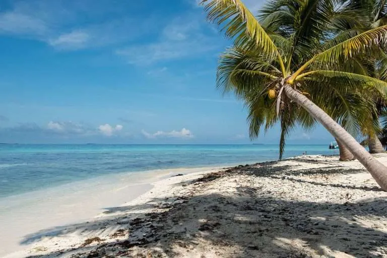 Snorkeling beach in Belize