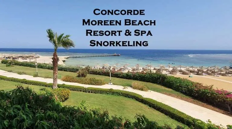 Concorde Moreen Beach Resort and Spa snorkeling