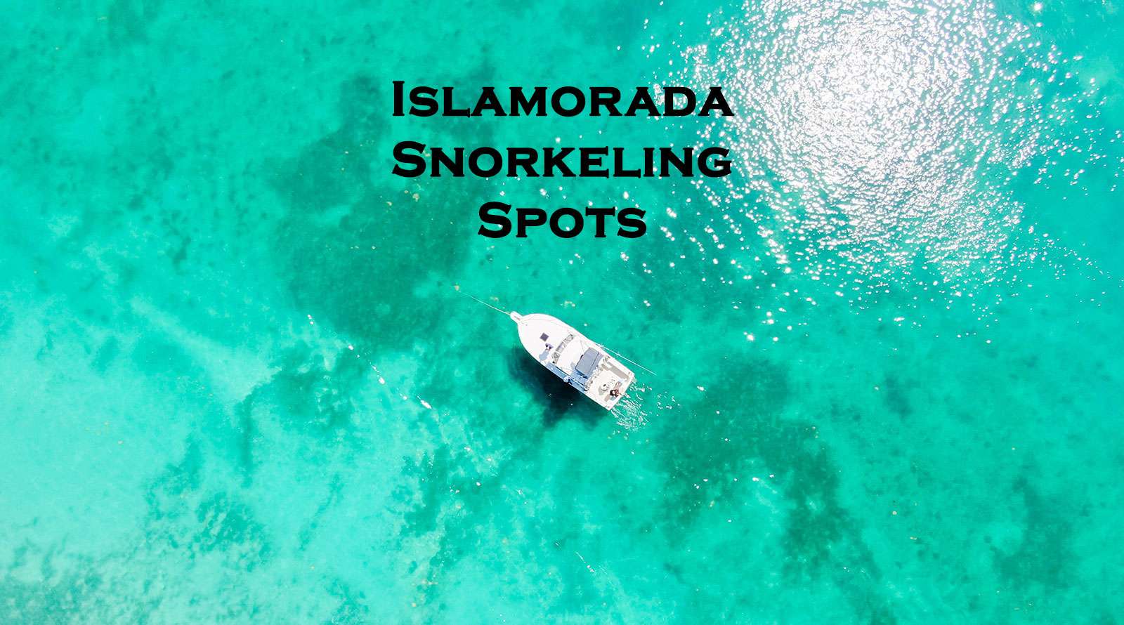 Snorkeling In Islamorada Guide To The Best Spots