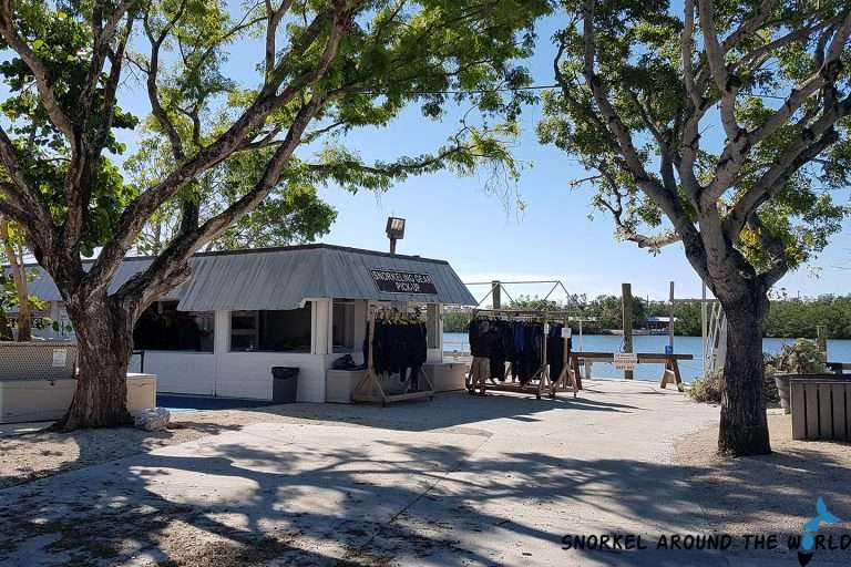 Guide For Snorkeling In John Pennekamp Coral Reef State Park