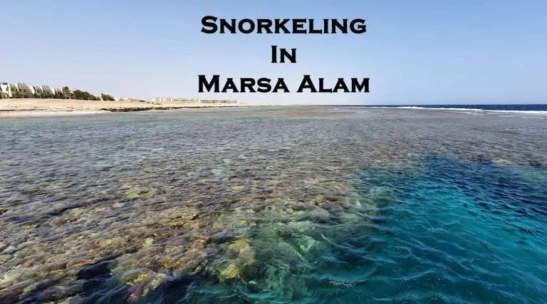 Snorkeling in Marsa Alam