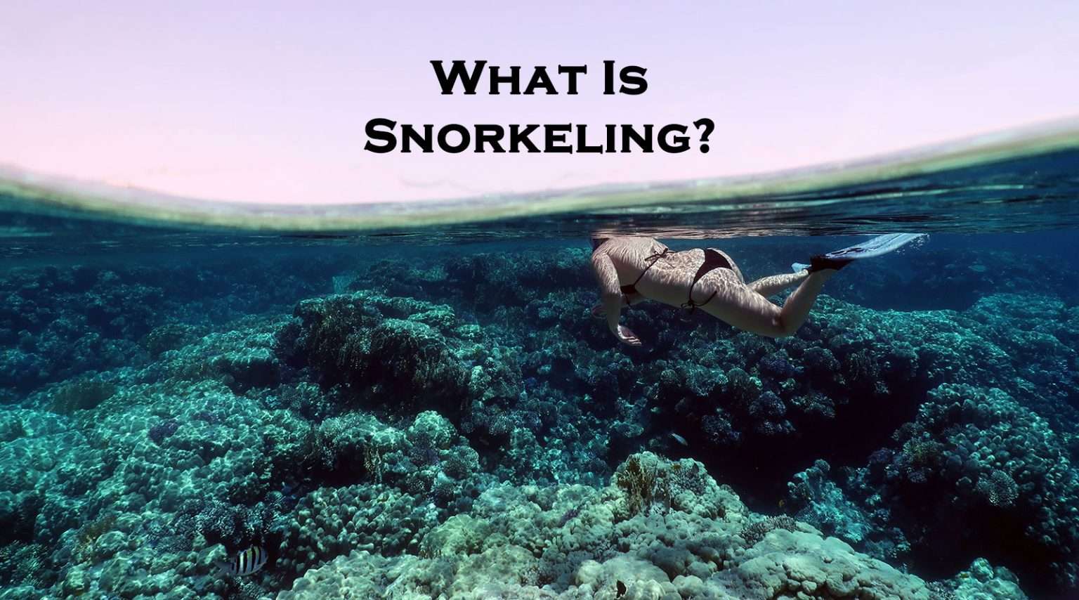 Snorkel Around The World Snorkeling Places & Snorkel Gear Guide