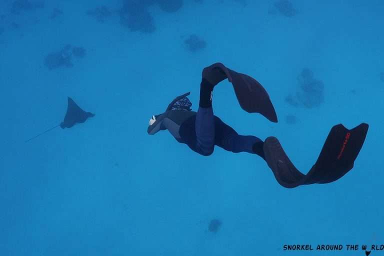 What Is Skin Diving? The Basics, Facts and Tips!