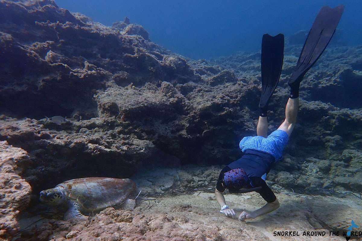 Adam swimming with a sea turtle near Paphos