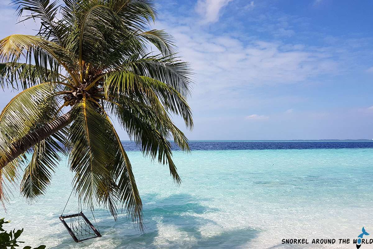 Beach swing at Biyadhoo