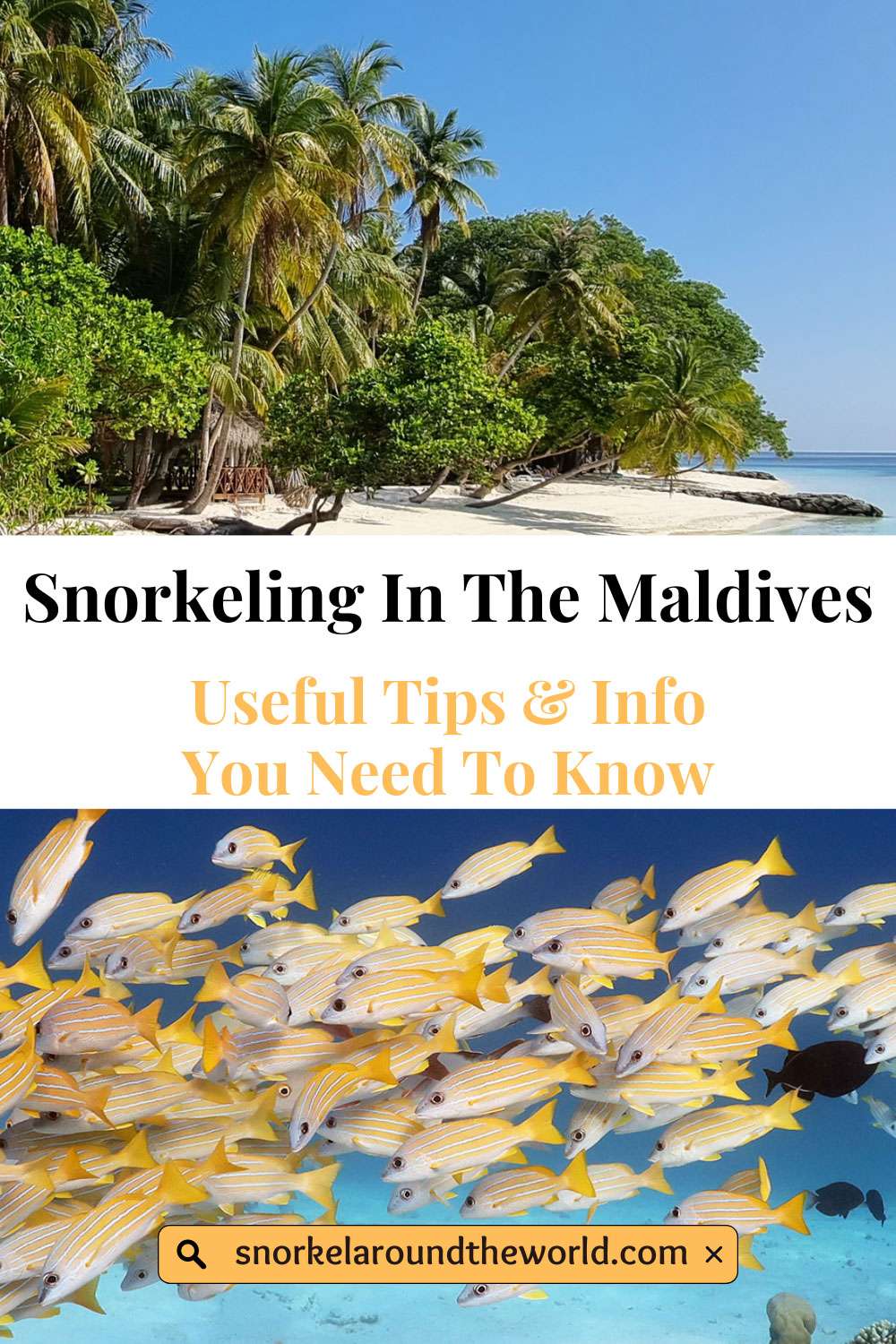 Maldives snorkeling info guide - Pinterest image
