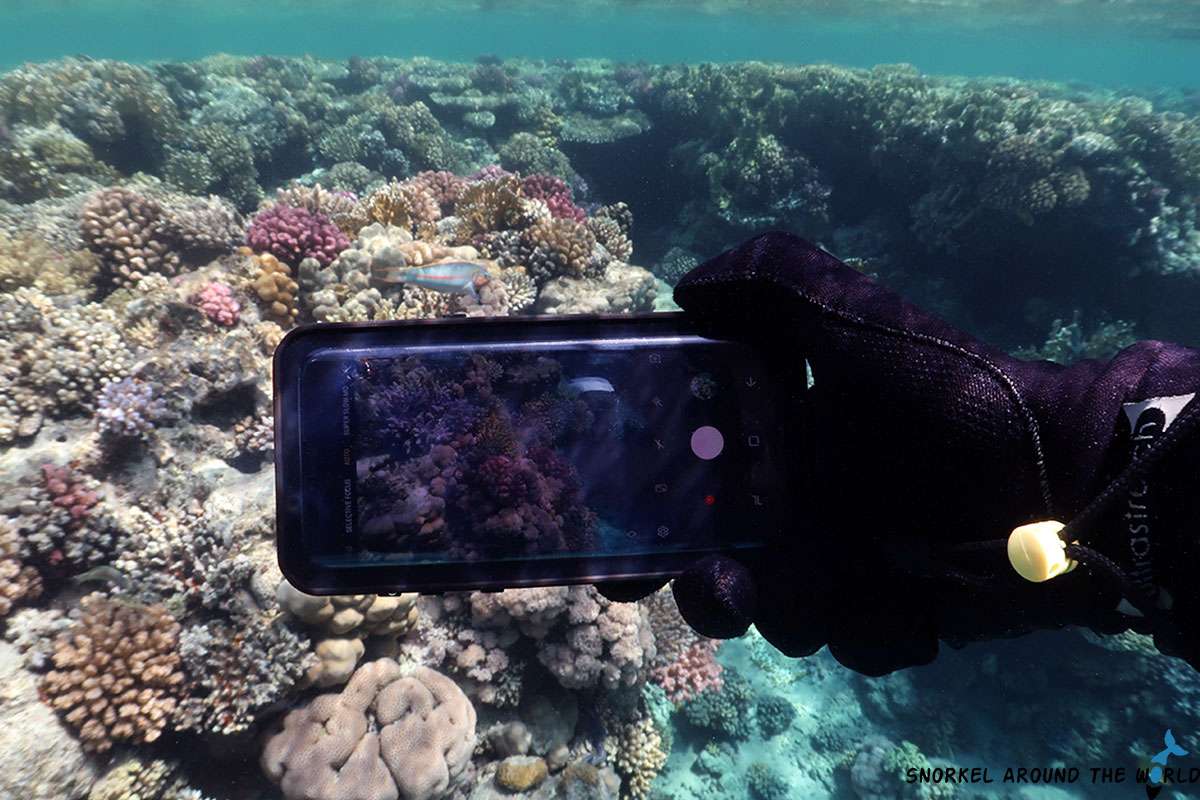 smartphone underwater in waterproof cover