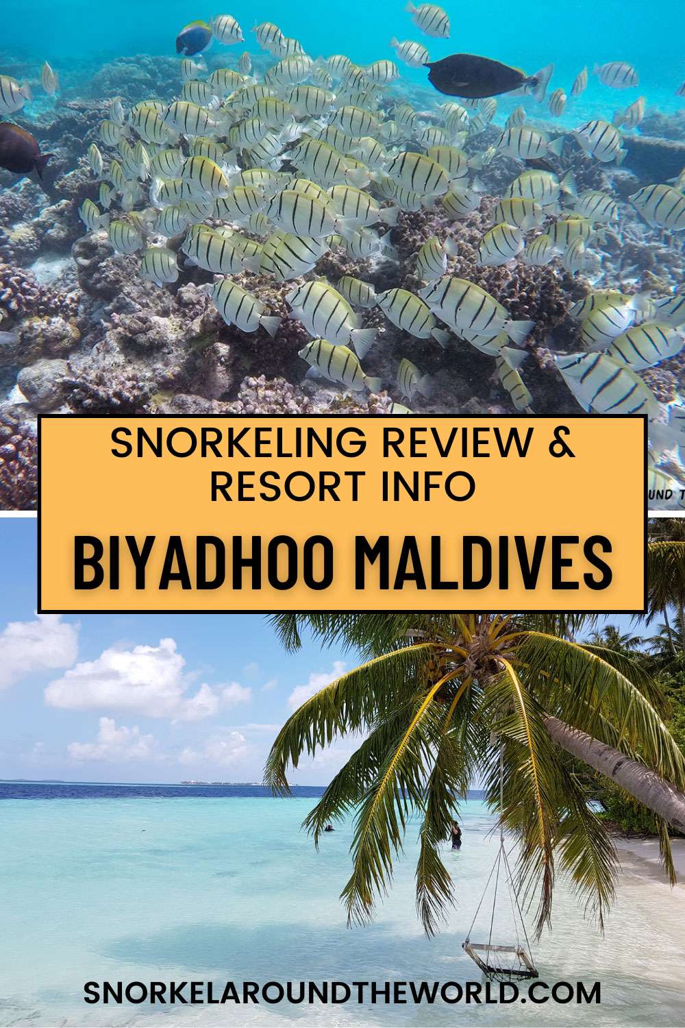 snorkeling in Biyadhoo Island - Maldives - Pinterest image