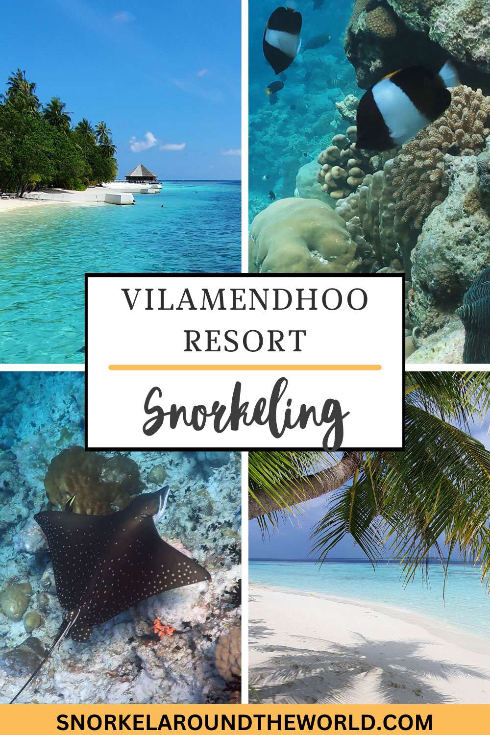 Vilamendhoo Island snorkeling - Pinterest image