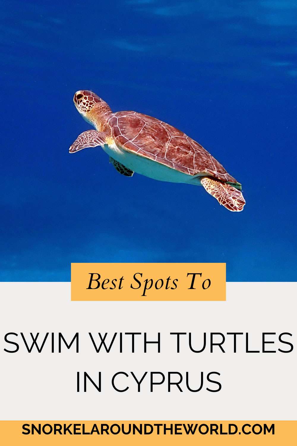 spots for snorkeling with sea turtles in Cyprus - Pinterest image
