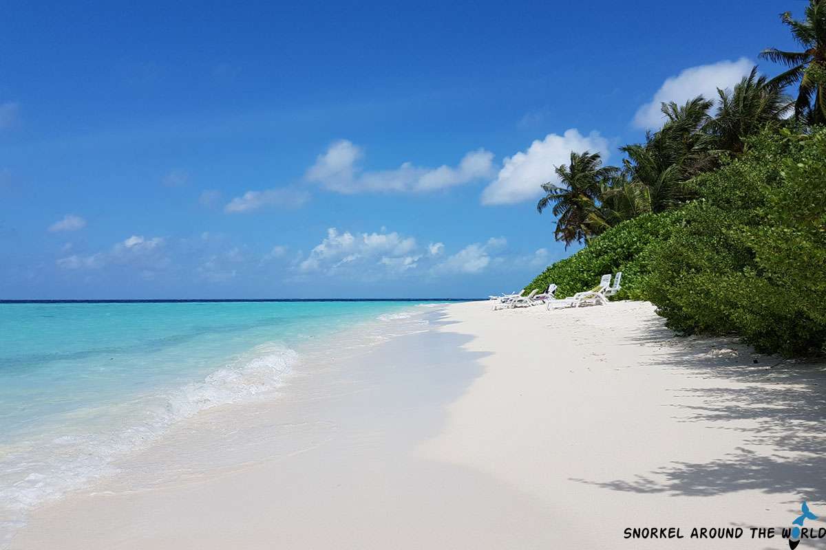 sunbeds on the main beach at Biyadhoo Resort Island