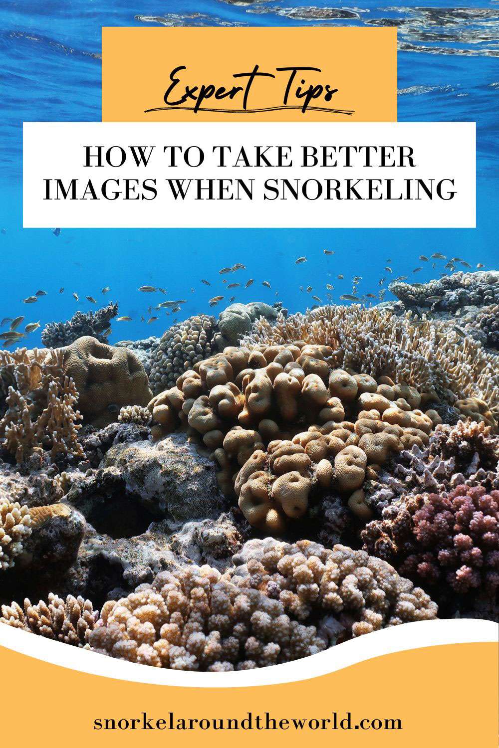 tips to improve snorkeling photos - Pinterest image