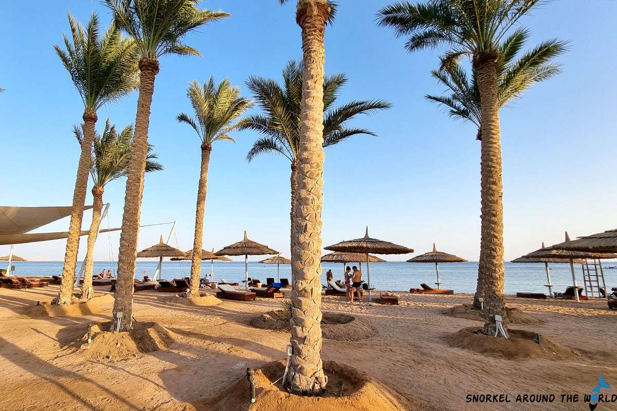 Coral Sea Sensatori Resort beach