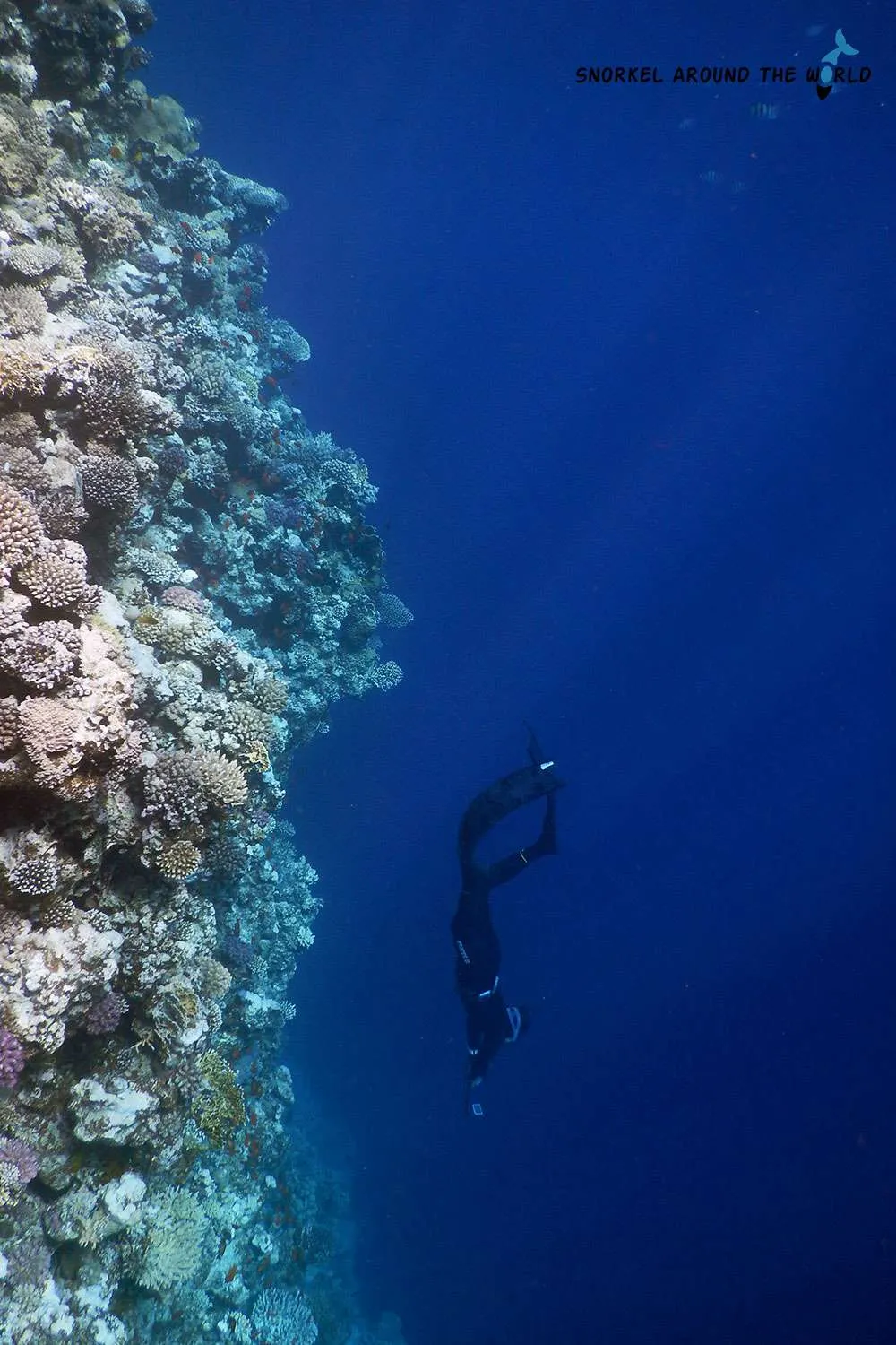 Freediver diving at the Blue Hole