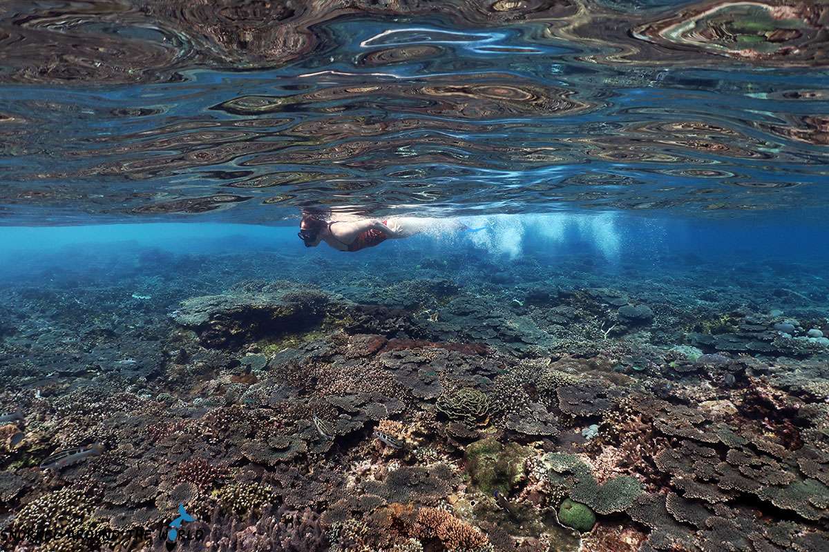 snorkeler over coral at Crystal Bay